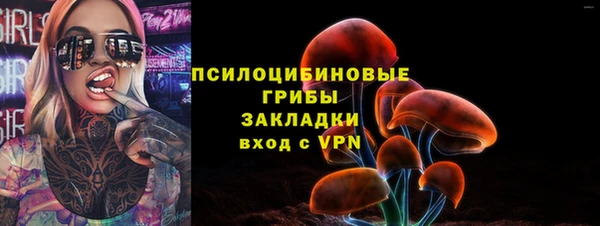 амф Белокуриха
